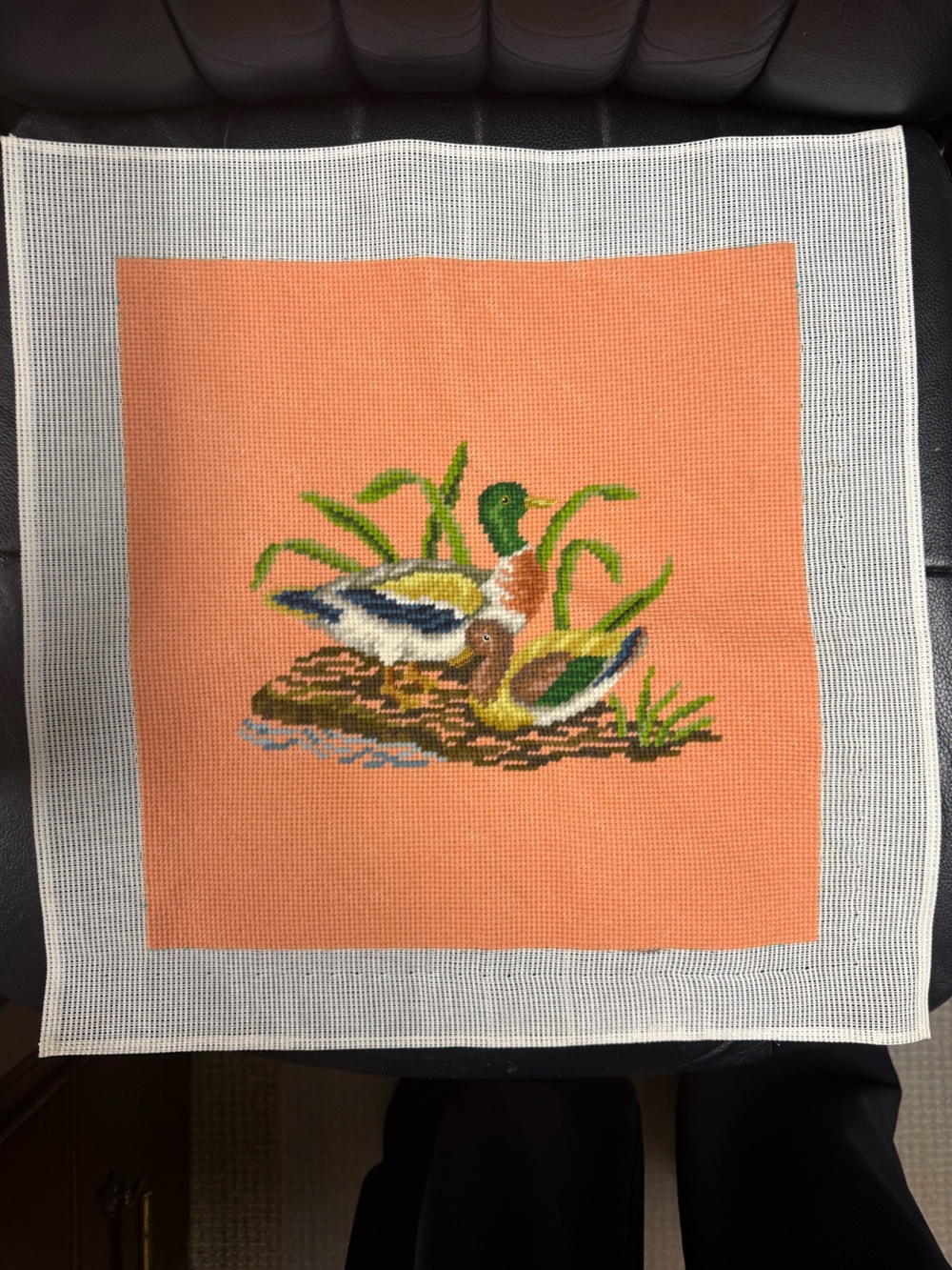 Embroidered Duck Nest Wall Art - Peach